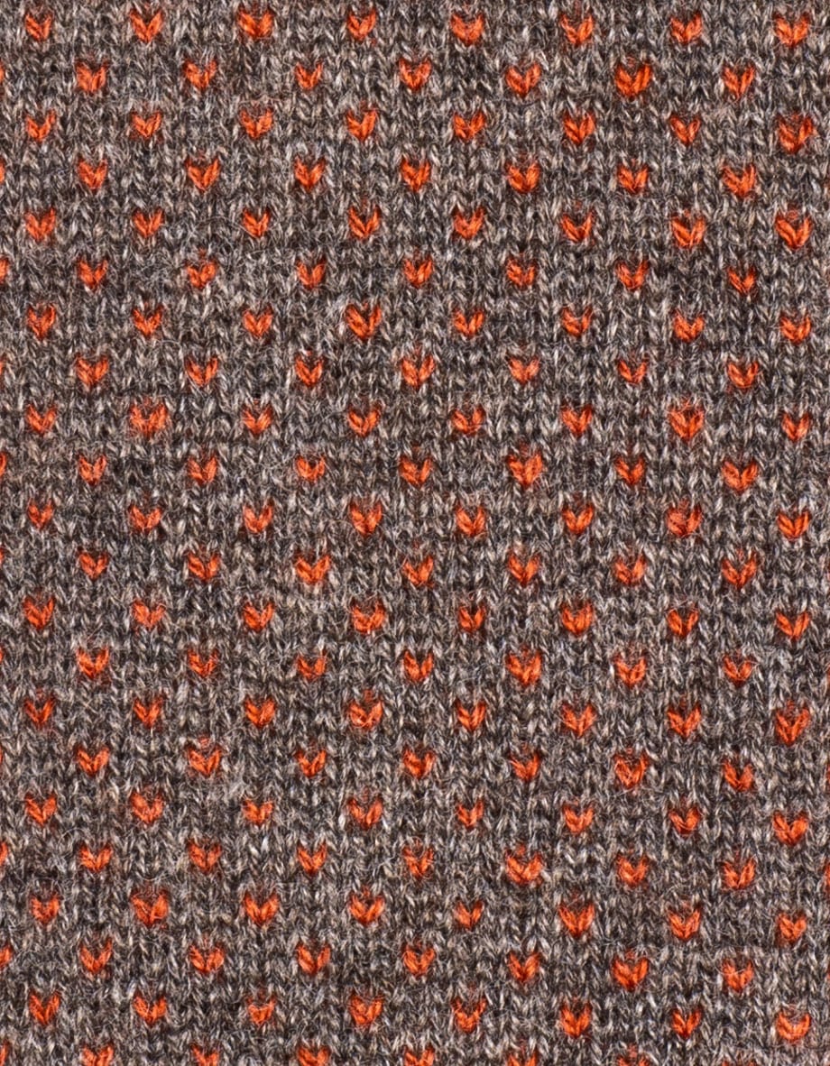 cravatta rain puntino m10 marrone falco arancione olanda 5
